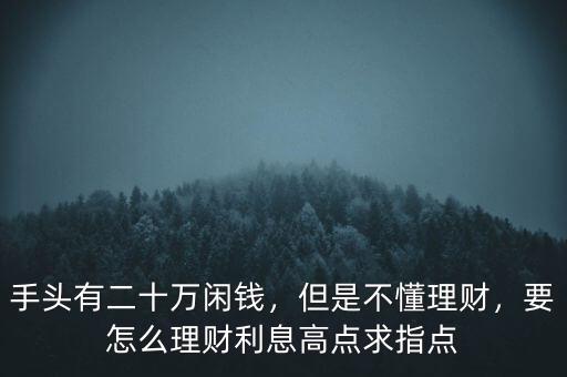 手頭有二十萬閑錢，但是不懂理財，要怎么理財利息高點求指點