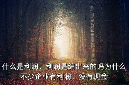 什么是利潤(rùn)，利潤(rùn)是編出來的嗎為什么不少企業(yè)有利潤(rùn)，沒有現(xiàn)金