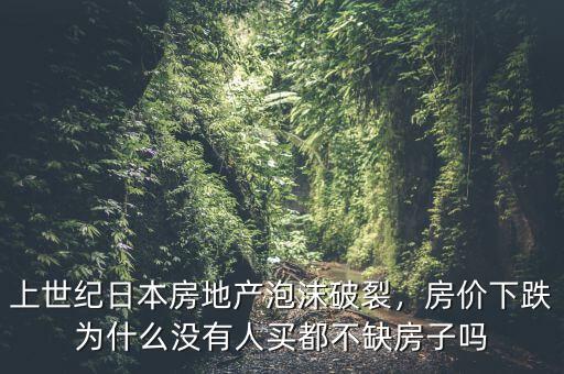 上世紀(jì)日本房地產(chǎn)泡沫破裂，房價(jià)下跌為什么沒有人買都不缺房子嗎