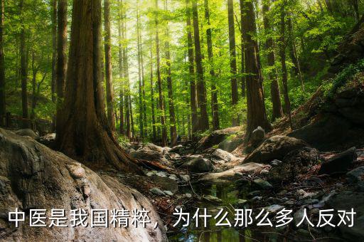中醫(yī)是我國精粹，為什么那么多人反對