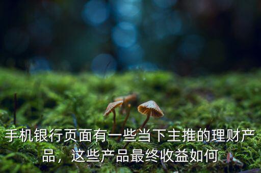 手機銀行頁面有一些當下主推的理財產(chǎn)品，這些產(chǎn)品最終收益如何