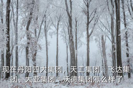 現(xiàn)在丹陽四大集團，天工集團、飛達集團、大亞集團、沃德集團怎么樣了