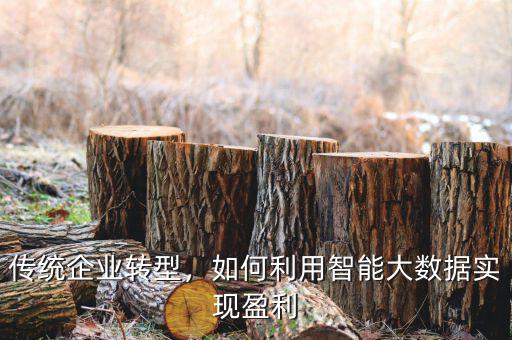 傳統(tǒng)企業(yè)轉(zhuǎn)型，如何利用智能大數(shù)據(jù)實(shí)現(xiàn)盈利