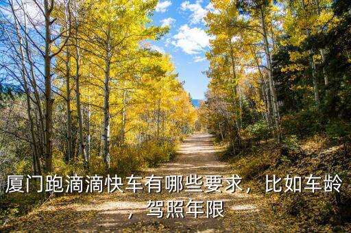 廈門跑滴滴快車有哪些要求，比如車齡，駕照年限
