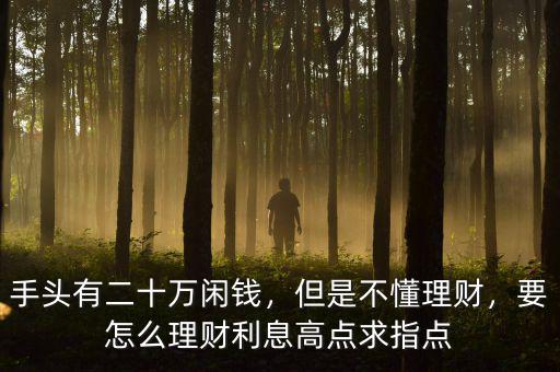 手頭有二十萬(wàn)閑錢(qián)，但是不懂理財(cái)，要怎么理財(cái)利息高點(diǎn)求指點(diǎn)