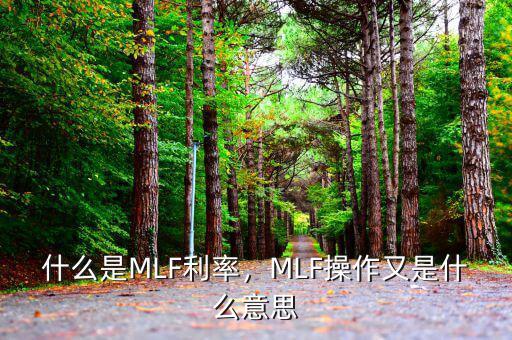 什么是MLF利率，MLF操作又是什么意思