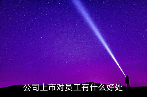 股權(quán)上市對企業(yè)有什么好處,一個(gè)企業(yè)單位上市以后