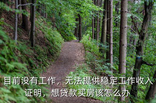 目前沒有工作，無法提供穩(wěn)定工作收入證明，想貸款買房該怎么辦