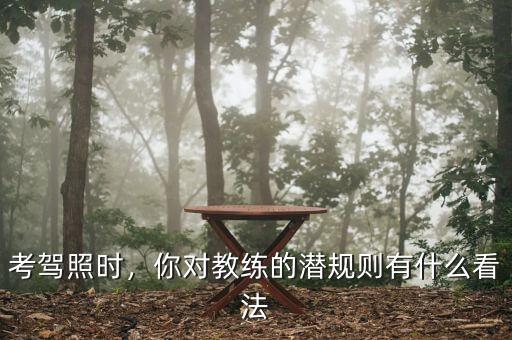 考駕照時，你對教練的潛規(guī)則有什么看法