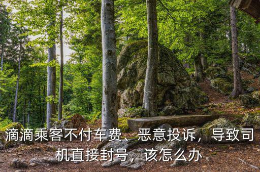 滴滴乘客不付車費(fèi)、惡意投訴，導(dǎo)致司機(jī)直接封號(hào)，該怎么辦