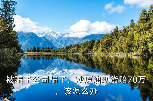 被騙子公司騙了，炒原油現(xiàn)貨賠70萬，該怎么辦