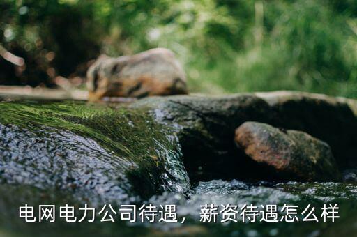 電網(wǎng)電力公司待遇，薪資待遇怎么樣