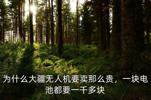 為什么大疆無人機要賣那么貴，一塊電池都要一千多塊
