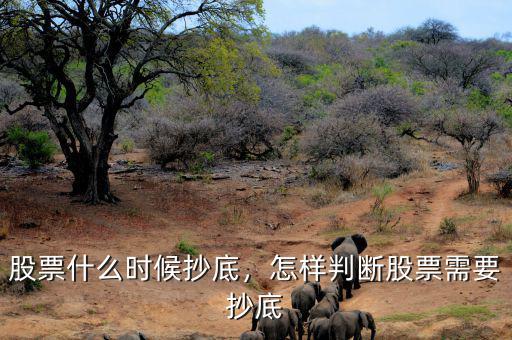 股票什么時(shí)候抄底，怎樣判斷股票需要抄底