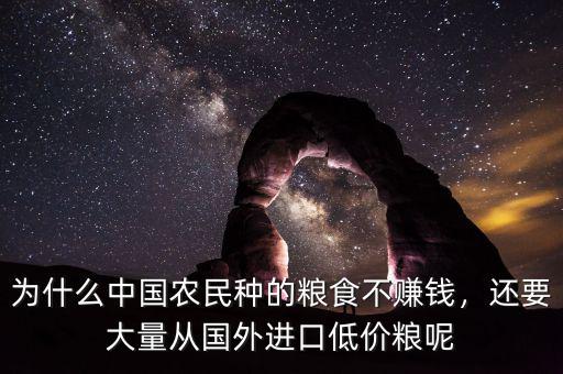為什么中國農(nóng)民種的糧食不賺錢，還要大量從國外進口低價糧呢