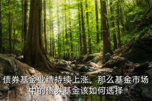 債券基金業(yè)績持續(xù)上漲，那么基金市場中的債券基金該如何選擇