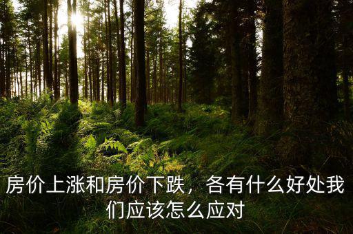 房?jī)r(jià)上漲和房?jī)r(jià)下跌，各有什么好處我們應(yīng)該怎么應(yīng)對(duì)