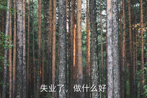失業(yè)了，做什么好