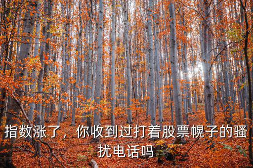 指數(shù)漲了，你收到過打著股票幌子的騷擾電話嗎