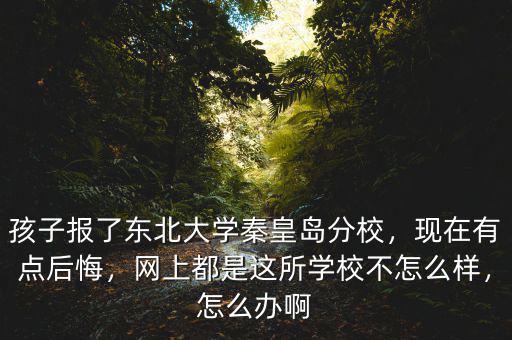 孩子報(bào)了東北大學(xué)秦皇島分校，現(xiàn)在有點(diǎn)后悔，網(wǎng)上都是這所學(xué)校不怎么樣，怎么辦啊