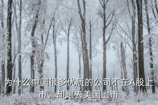 不盈利為什么能在美國上市,卻在美國上市。為什么