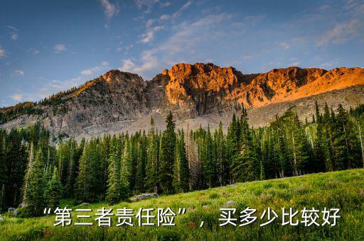 “第三者責(zé)任險(xiǎn)”，買多少比較好