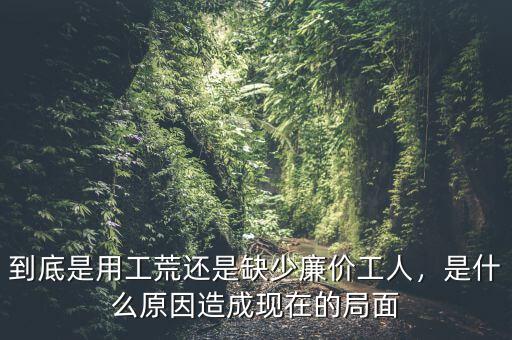 到底是用工荒還是缺少廉價工人，是什么原因造成現(xiàn)在的局面