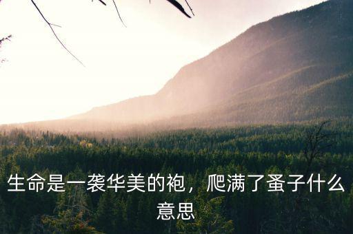 生命是一襲華美的袍，爬滿了蚤子什么意思