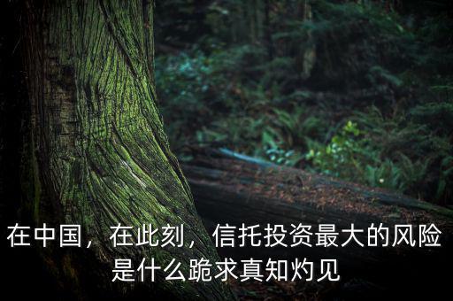 在中國，在此刻，信托投資最大的風(fēng)險是什么跪求真知灼見