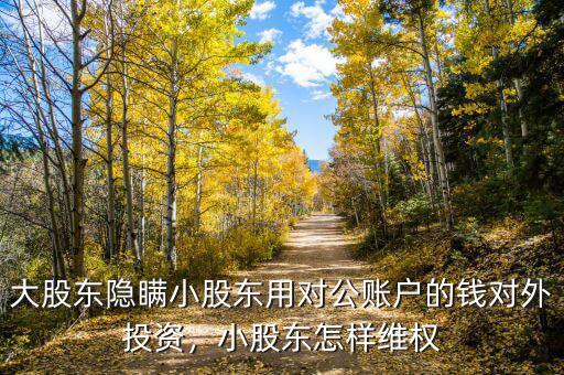 大股東隱瞞小股東用對公賬戶的錢對外投資，小股東怎樣維權(quán)