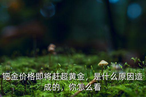 鈀金價格即將趕超黃金，是什么原因造成的，你怎么看