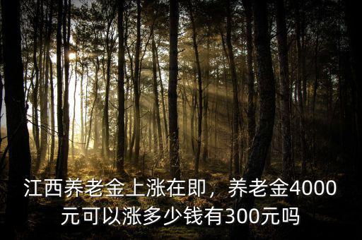 江西養(yǎng)老金上漲在即，養(yǎng)老金4000元可以漲多少錢有300元嗎
