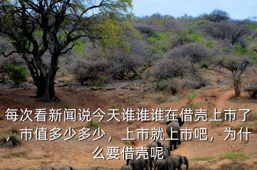 每次看新聞?wù)f今天誰(shuí)誰(shuí)誰(shuí)在借殼上市了，市值多少多少，上市就上市吧，為什么要借殼呢