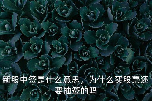 新股中簽是什么意思，為什么買股票還要抽簽的嗎