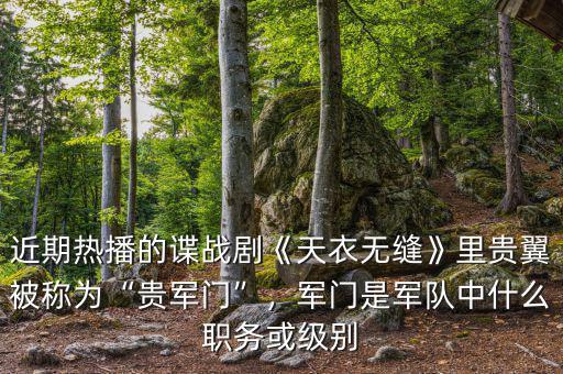 近期熱播的諜戰(zhàn)劇《天衣無縫》里貴翼被稱為“貴軍門”，軍門是軍隊(duì)中什么職務(wù)或級(jí)別