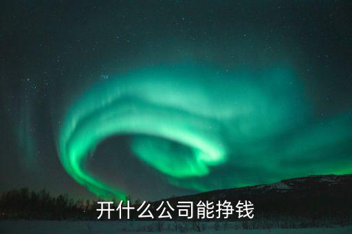 開(kāi)什么公司能掙錢(qián)