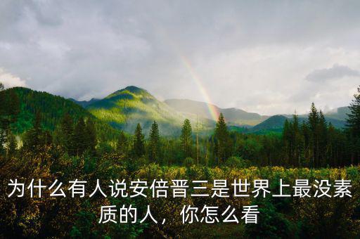 為什么有人說安倍晉三是世界上最沒素質(zhì)的人，你怎么看