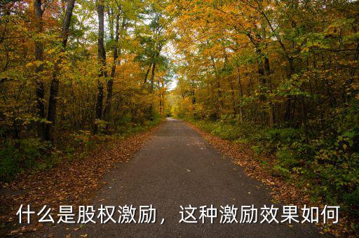 什么是股權(quán)激勵，這種激勵效果如何