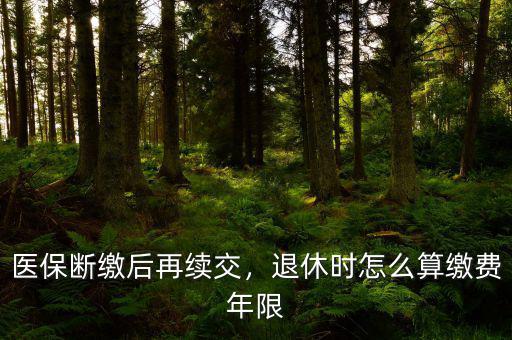 醫(yī)保斷繳后再續(xù)交，退休時怎么算繳費(fèi)年限