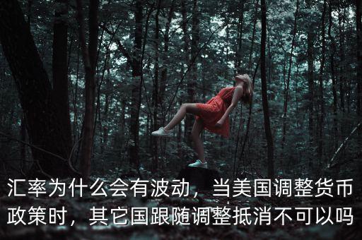 匯率為什么會(huì)有波動(dòng)，當(dāng)美國(guó)調(diào)整貨幣政策時(shí)，其它國(guó)跟隨調(diào)整抵消不可以嗎