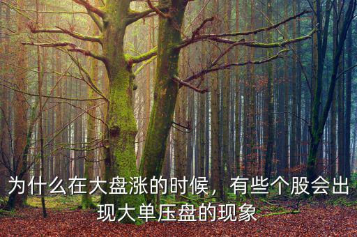 為什么在大盤漲的時候，有些個股會出現(xiàn)大單壓盤的現(xiàn)象