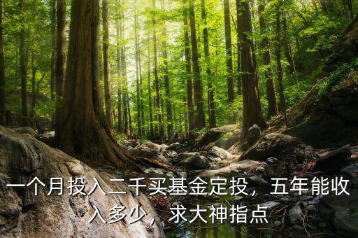一個(gè)月投入二千買基金定投，五年能收入多少，求大神指點(diǎn)