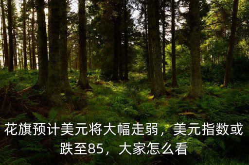 花旗預(yù)計美元將大幅走弱，美元指數(shù)或跌至85，大家怎么看