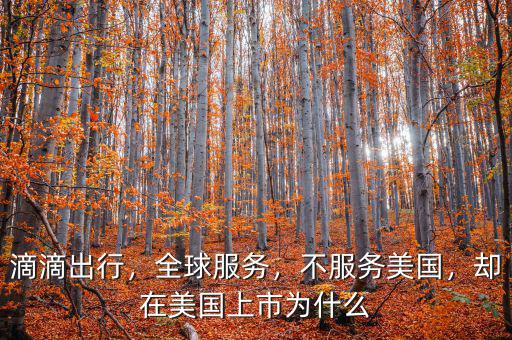 滴滴出行，全球服務(wù)，不服務(wù)美國(guó)，卻在美國(guó)上市為什么