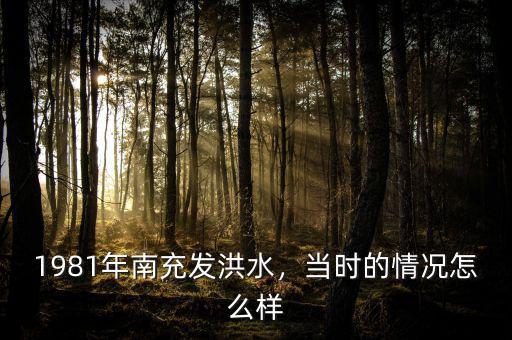 1981年南充發(fā)洪水，當(dāng)時(shí)的情況怎么樣