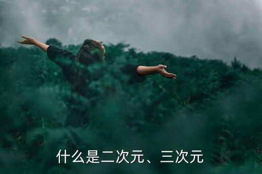 什么是二次元、三次元
