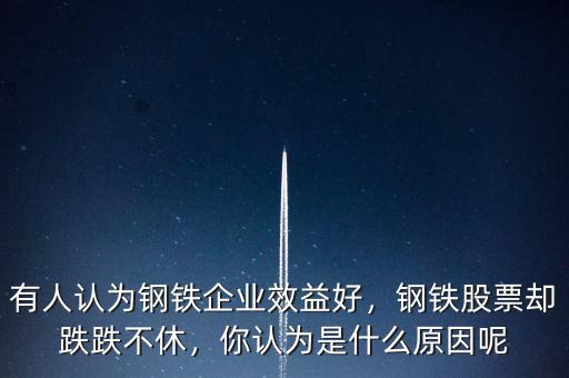 有人認為鋼鐵企業(yè)效益好，鋼鐵股票卻跌跌不休，你認為是什么原因呢