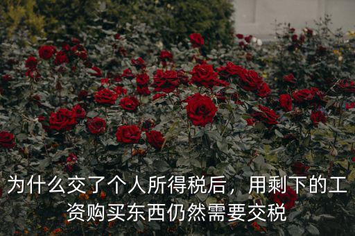 為什么交了個人所得稅后，用剩下的工資購買東西仍然需要交稅