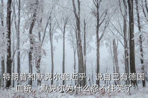 特朗普和默克爾套近乎，說自己有德國血統，默克爾為什么忍不住笑了