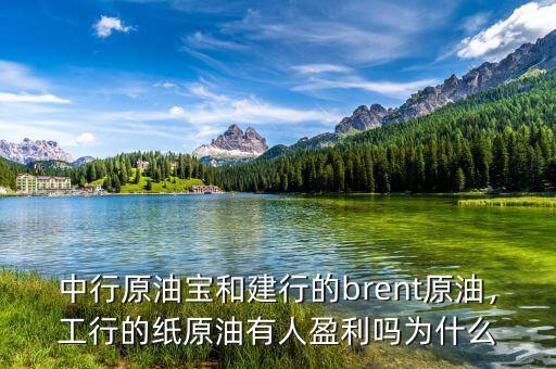 中行原油寶和建行的brent原油，工行的紙?jiān)陀腥擞麊釣槭裁? class=